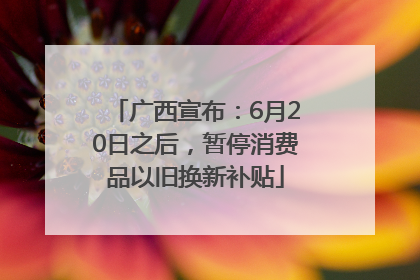 广西宣布：6月20日之后，暂停消费品以旧换新补贴