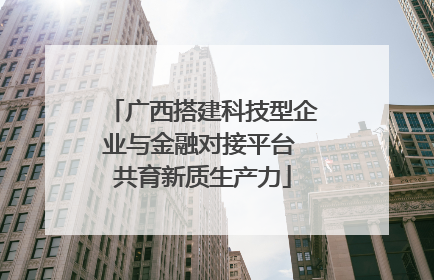 广西搭建科技型企业与金融对接平台 共育新质生产力
