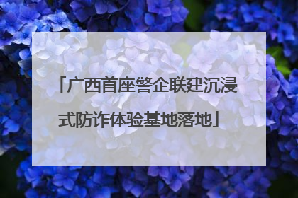 广西首座警企联建沉浸式防诈体验基地落地