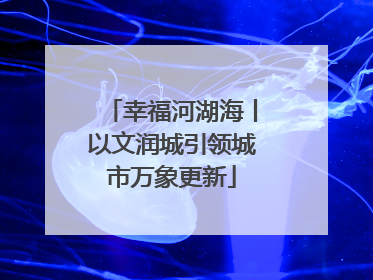 幸福河湖海丨以文润城引领城市万象更新