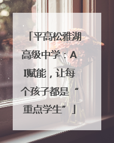 平高松雅湖高级中学：AI赋能，让每个孩子都是“重点学生”