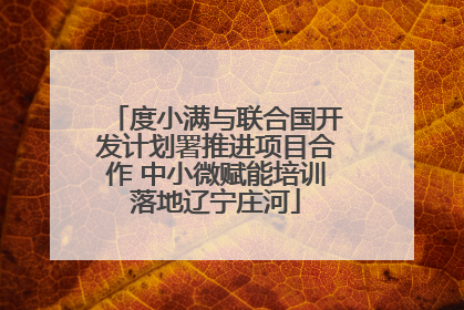 度小满与联合国开发计划署推进项目合作 中小微赋能培训落地辽宁庄河