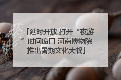 延时开放 打开“夜游”时间窗口 河南博物院推出暑期文化大餐