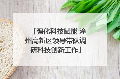强化科技赋能 漳州高新区领导带队调研科技创新工作