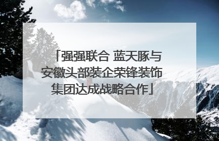 强强联合 蓝天豚与安徽头部装企荣锋装饰集团达成战略合作