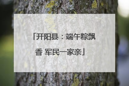 开阳县：端午粽飘香 军民一家亲