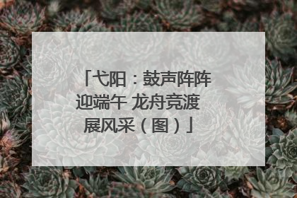 弋阳：鼓声阵阵迎端午 龙舟竞渡展风采（图）