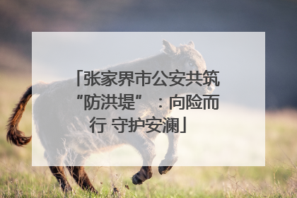 张家界市公安共筑“防洪堤”：向险而行 守护安澜