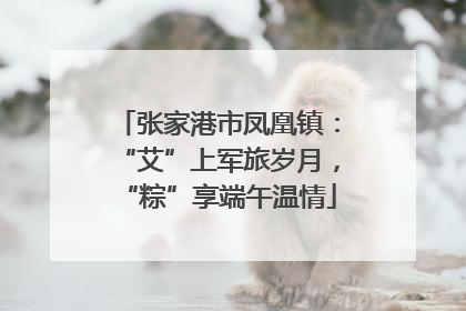张家港市凤凰镇：“艾”上军旅岁月，“粽”享端午温情