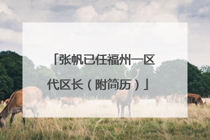 张帆已任福州一区代区长（附简历）