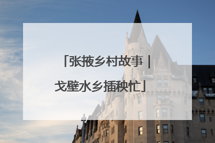 张掖乡村故事｜戈壁水乡插秧忙