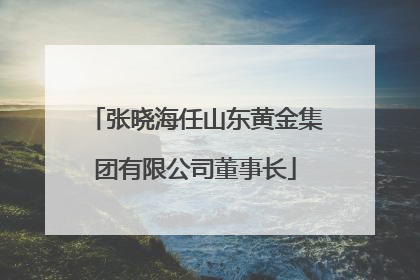 张晓海任山东黄金集团有限公司董事长