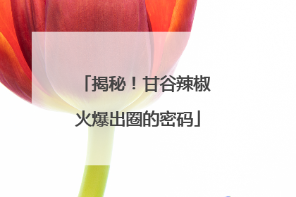 揭秘！甘谷辣椒火爆出圈的密码