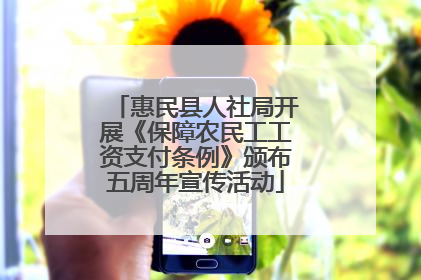 惠民县人社局开展《保障农民工工资支付条例》颁布五周年宣传活动