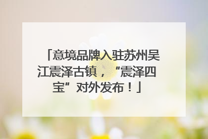 意境品牌入驻苏州吴江震泽古镇，“震泽四宝”对外发布！