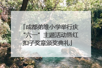 成都弟维小学举行庆“六一”主题活动暨红扣子奖章颁奖典礼