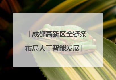 成都高新区全链条布局人工智能发展