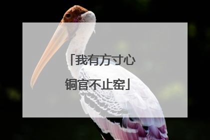我有方寸心 铜官不止窑