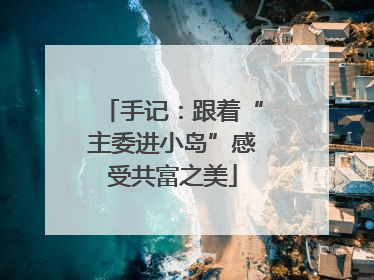 手记：跟着“主委进小岛”感受共富之美