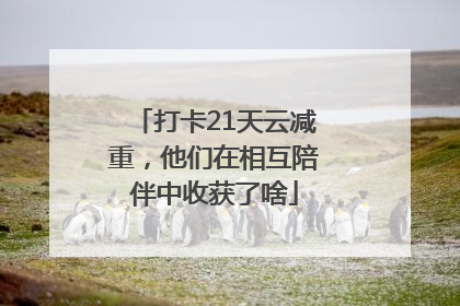 打卡21天云减重，他们在相互陪伴中收获了啥