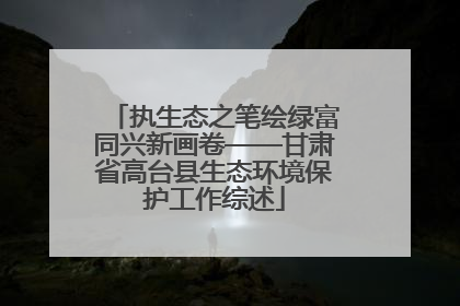 执生态之笔绘绿富同兴新画卷——甘肃省高台县生态环境保护工作综述