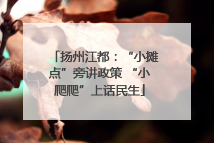 扬州江都：“小摊点”旁讲政策 “小爬爬”上话民生