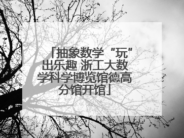 抽象数学“玩”出乐趣 浙工大数学科学博览馆德高分馆开馆