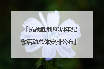 抗战胜利80周年纪念活动总体安排公布