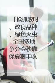 抢抓农时、改良品种、绿色灭虫 全国多地争分夺秒确保夏粮丰收