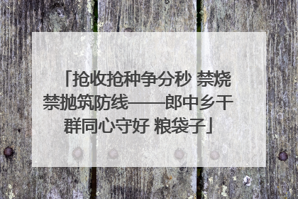 抢收抢种争分秒 禁烧禁抛筑防线——郎中乡干群同心守好 粮袋子