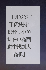 拼多多“千亿扶持”搭台，小鱼缸在电商西进中找到大商机