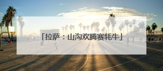 拉萨：山沟欢腾赛牦牛