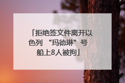 拒绝签文件离开以色列 “玛德琳”号船上8人被拘