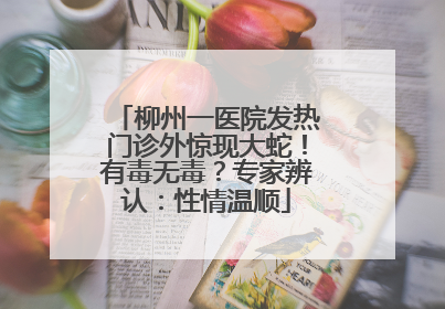 柳州一医院发热门诊外惊现大蛇！有毒无毒？专家辨认：性情温顺