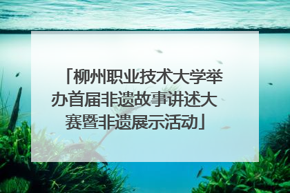 柳州职业技术大学举办首届非遗故事讲述大赛暨非遗展示活动