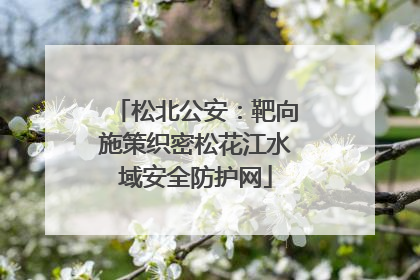 松北公安：靶向施策织密松花江水域安全防护网