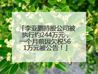 李亚鹏持股公司被执行约244万元，一个月前因欠税561万元被公告！