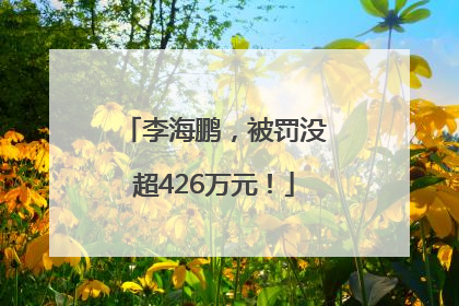 李海鹏，被罚没超426万元！