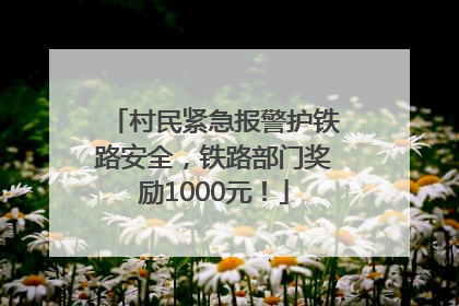 村民紧急报警护铁路安全，铁路部门奖励1000元！