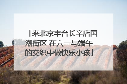 来北京丰台长辛店国潮街区 在六一与端午的交织中做快乐小孩