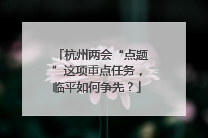 杭州两会“点题”这项重点任务，临平如何争先？