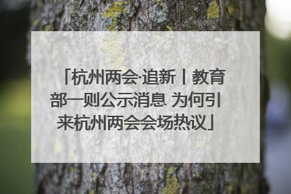 杭州两会·追新丨教育部一则公示消息 为何引来杭州两会会场热议