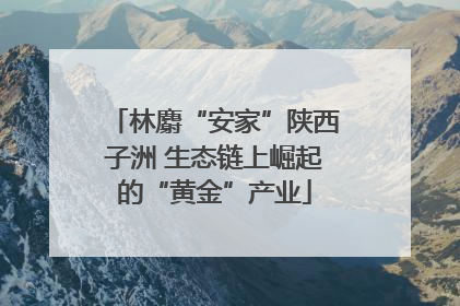 林麝“安家”陕西子洲 生态链上崛起的“黄金”产业