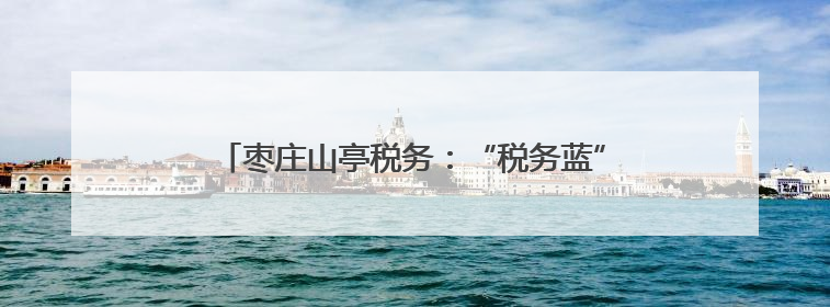 枣庄山亭税务：“税务蓝”助力退役军人“再起航”