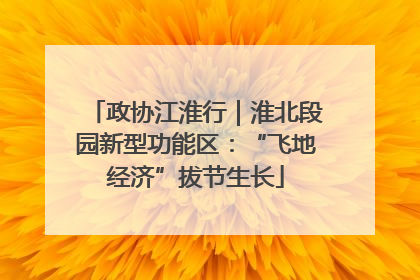 政协江淮行｜淮北段园新型功能区：“飞地经济”拔节生长