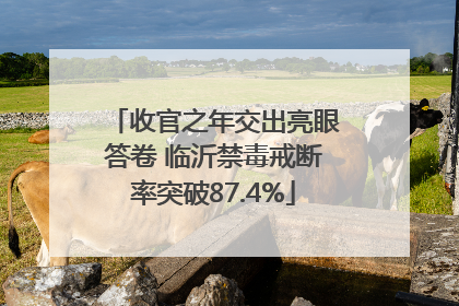 收官之年交出亮眼答卷 临沂禁毒戒断率突破87.4%