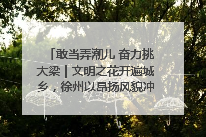 敢当弄潮儿 奋力挑大梁｜文明之花开遍城乡，徐州以昂扬风貌冲刺“万亿之城”