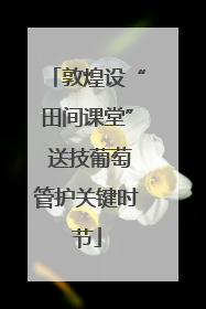 敦煌设“田间课堂” 送技葡萄管护关键时节