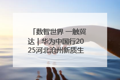 数智世界 一触冀达｜华为中国行2025河北沧州新质生产力峰会成功举办