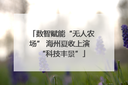 数智赋能“无人农场” 海州夏收上演“科技丰景”